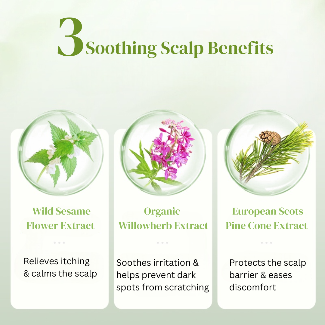 Dream Trend Anti-Dandruff & Itch Relief Shampoo 500ml - Image 7