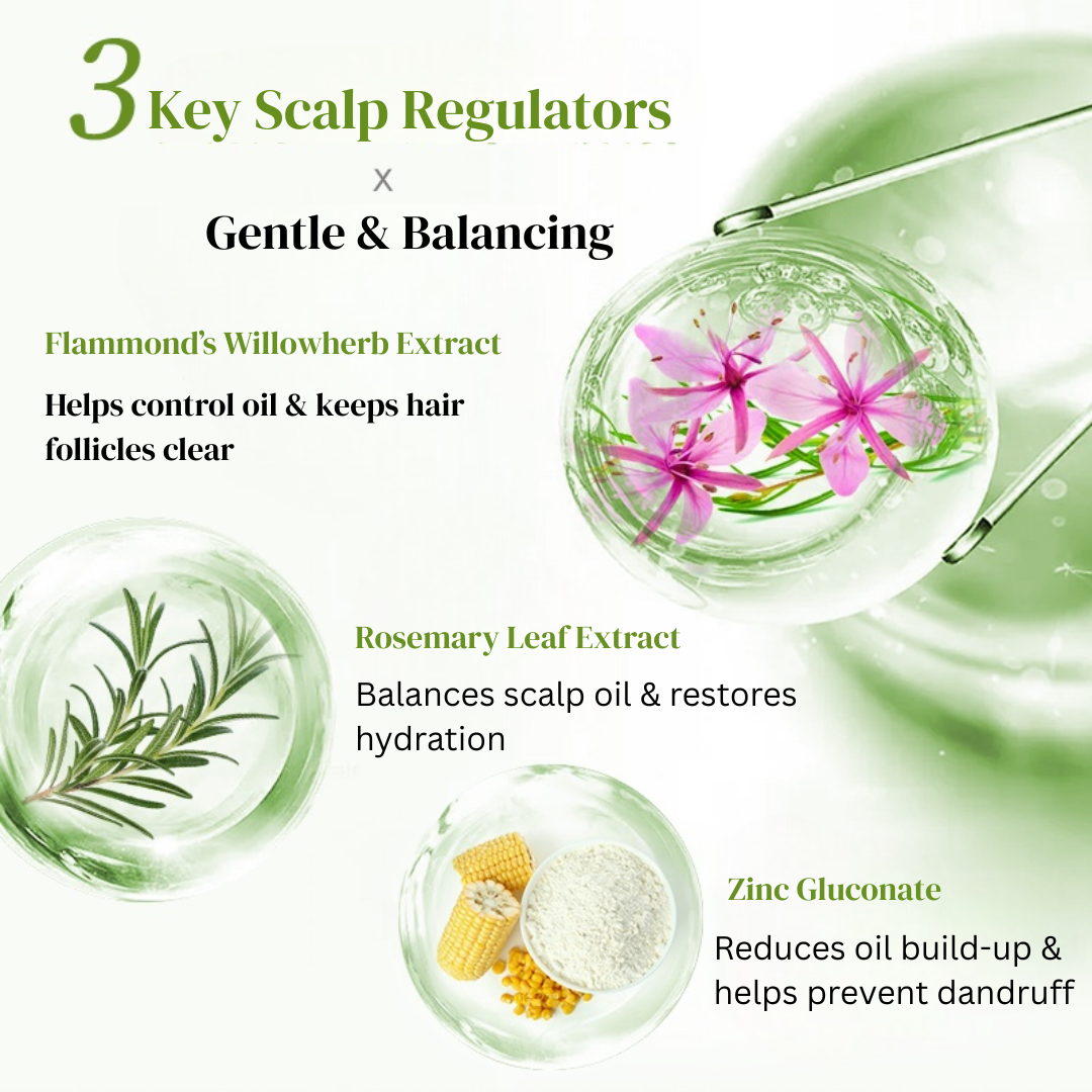 Dream Trend Anti-Dandruff & Itch Relief Shampoo 500ml - Image 5